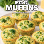 Broccoli Cheddar Egg Muffins on a white plate with broccoli florets and cheddar in the background on marble.