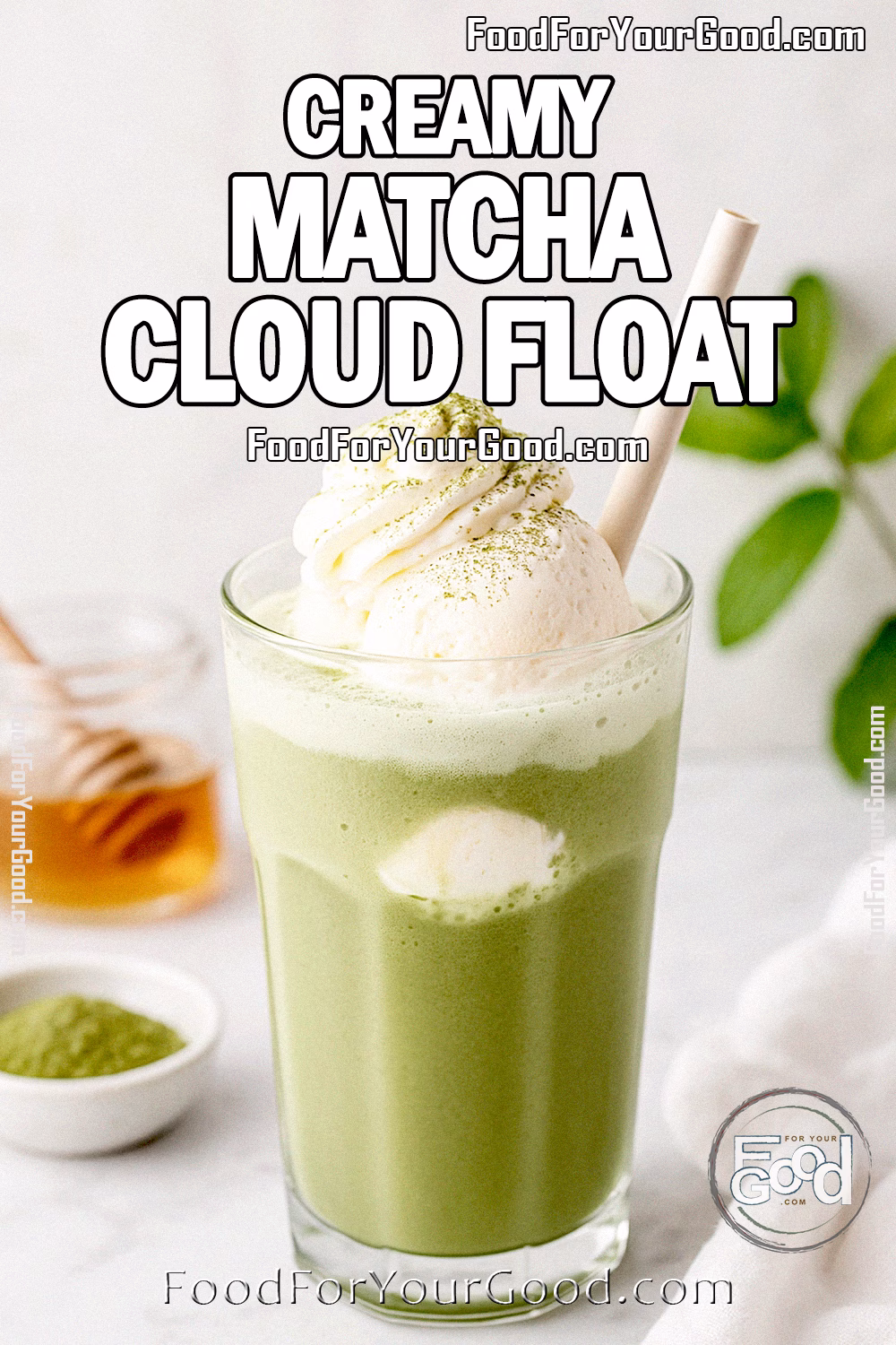 Creamy Matcha Cloud Float Recipe | FoodForYourGood.com Creamy Matcha Cloud Float served in a tall glass with vanilla ice cream, whipped cream, and matcha powder on a marble countertop.