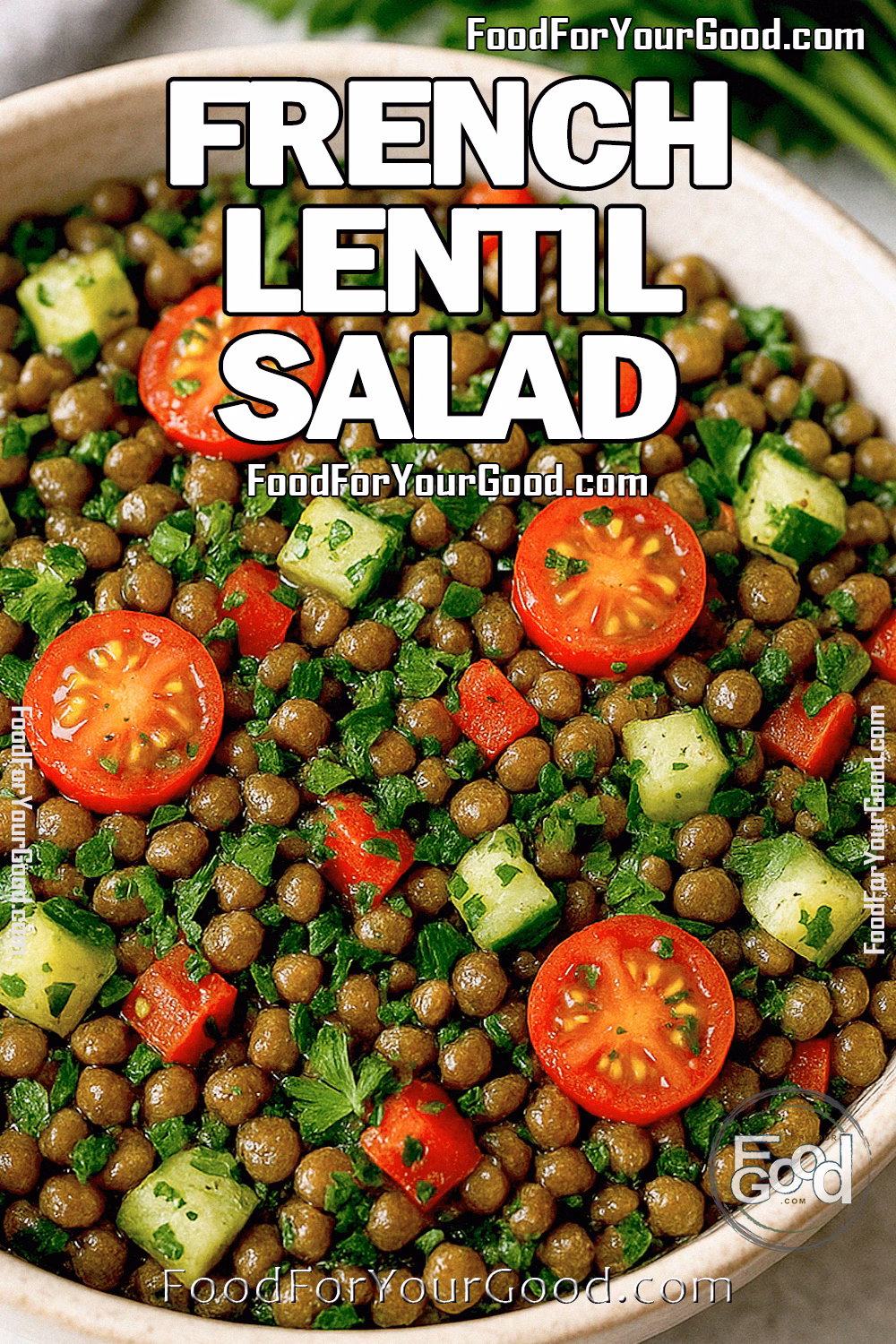A bowl of French Lentil Salad with cherry tomatoes, cucumbers, red bell peppers, and parsley, served on a white marble surface with a gray towel and fresh parsley in the background.